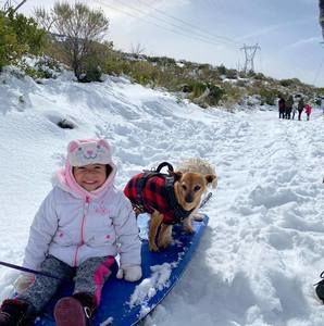 Meet your Posher, Beatriz